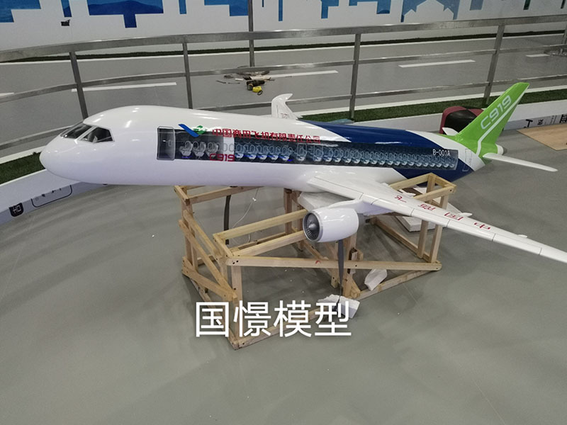 碌曲县飞机模型