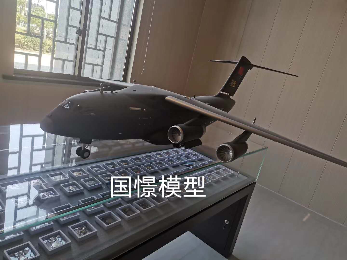 碌曲县飞机模型
