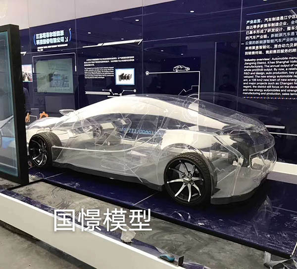 碌曲县透明车模型