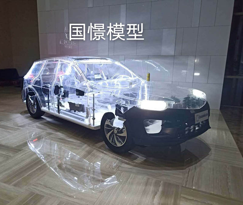 碌曲县透明车模型